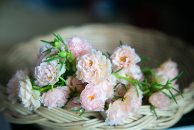 Close-up of white roses on table