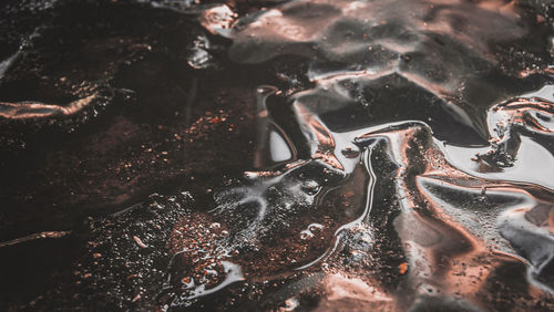 High angle view of crab on beach