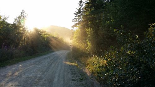 Empty road amidst trees against sky