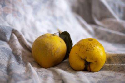 Close-up of oranges