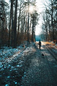 Rear view of man walking with his small dog on snow covered land forest