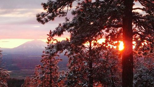 Scenic view of sunset