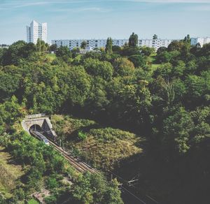 Trees and cityscape against sky