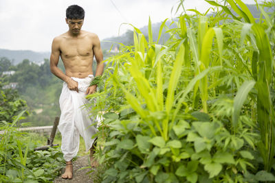Rear view of shirtless man standing amidst plants