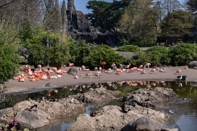 High angle view of people on rock by lake