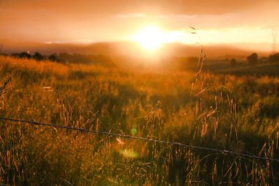 Scenic view of landscape at sunset