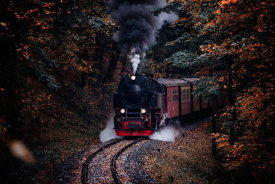 Car moving amidst trees in forest