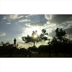 Silhouette of trees at sunset