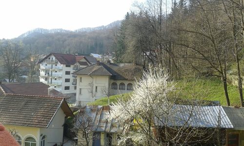 Houses with houses in background