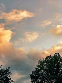 Low angle view of tree against sky during sunset
