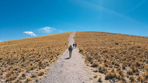 Rear view of man walking on land