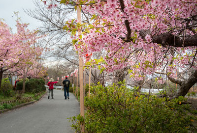 People walking in park