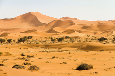 Scenic view of desert against clear sky