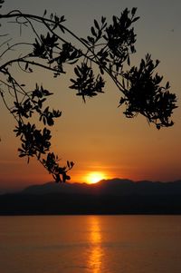 Silhouette tree by lake against romantic sky at sunset