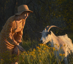 View of a horse on field