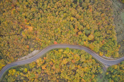 Road through the natural park of urbasa in late autumn