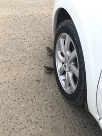 High angle view of car parked on road