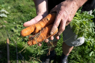 Low section of man holding plant