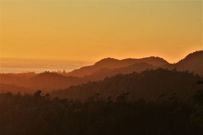 Silhouette trees on landscape against orange sky