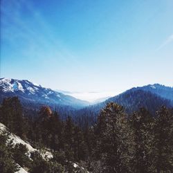 Scenic view of tree mountains against sky during winter