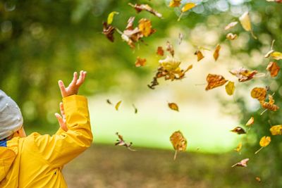 Midsection of person with yellow leaves