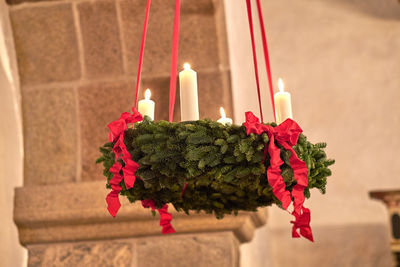 Close-up of christmas tree