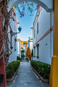 Footpath amidst buildings in city
