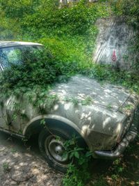 View of car on road
