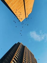 Low angle view of birds flying in sky