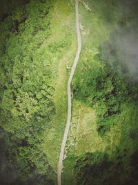 High angle view of road amidst trees in forest