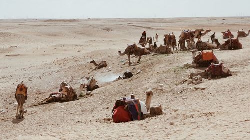 Panoramic view of people relaxing on sand