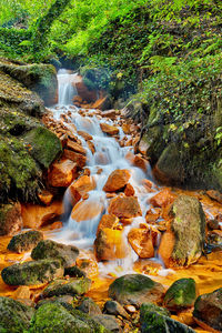 Scenic view of waterfall in forest