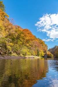 Scenic view of lake against sky during autumn