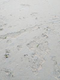 High angle view of sand