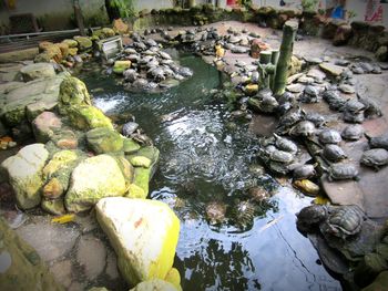 High angle view of stream flowing through rocks