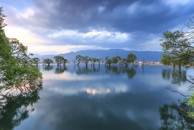 Reflection of trees in lake against sky