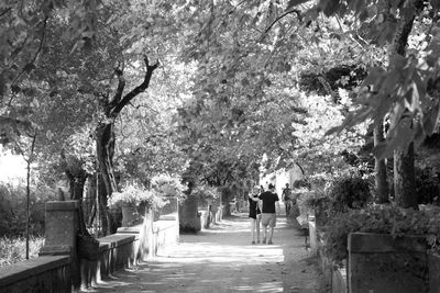Rear view of people walking on pathway along trees in park