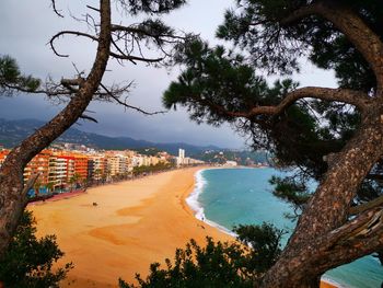 High angle view of trees by sea against sky