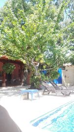 Building with trees in background