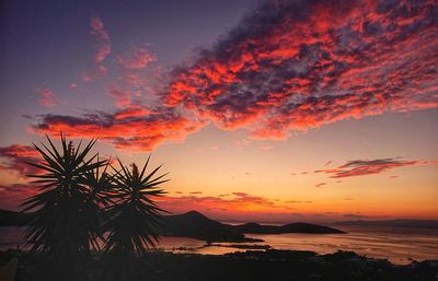 Silhouette palm trees on beach against romantic sky at sunset