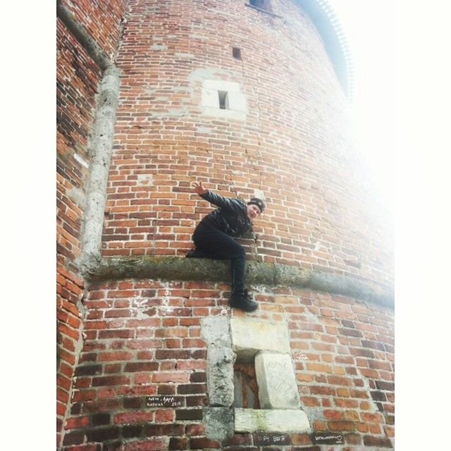 architecture, building exterior, built structure, brick wall, low angle view, stone wall, wall - building feature, window, old, auto post production filter, building, bird, day, wall, outdoors, brick, history, one animal, clear sky, transfer print