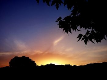 Silhouette of trees against sky at sunset