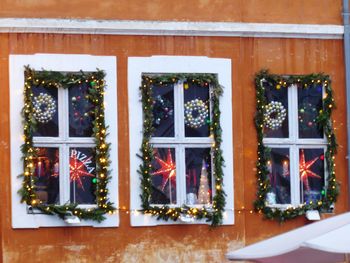 Plants in front of building