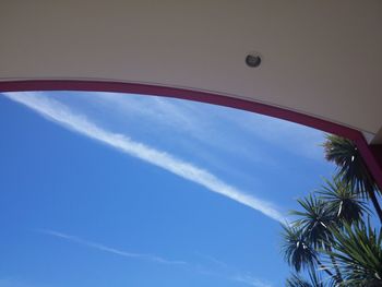 Low angle view of palm trees against blue sky