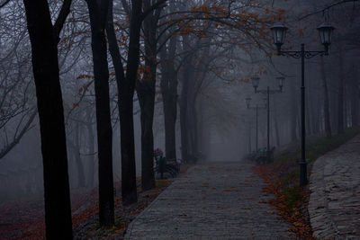 Street amidst trees during autumn