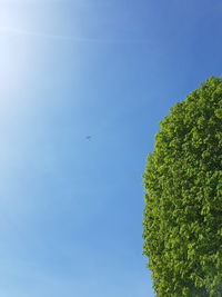 Low angle view of airplane flying against clear blue sky