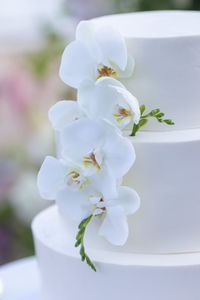 Wedding cake -