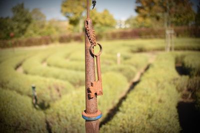 Close-up of rusty chain hanging on field