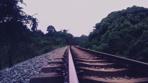 Railroad tracks amidst trees against sky