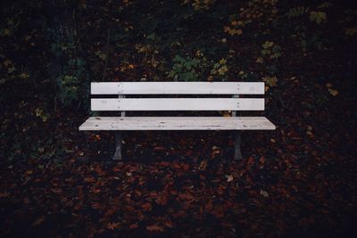 Bench by autumn leaves in park